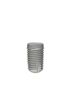 P1 Dental Implant ø6.0 x 10mm