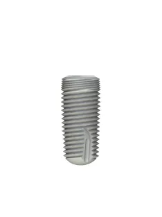 P1 Dental Implant ø6.0 x 13mm