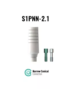 S1PNN - 2.1