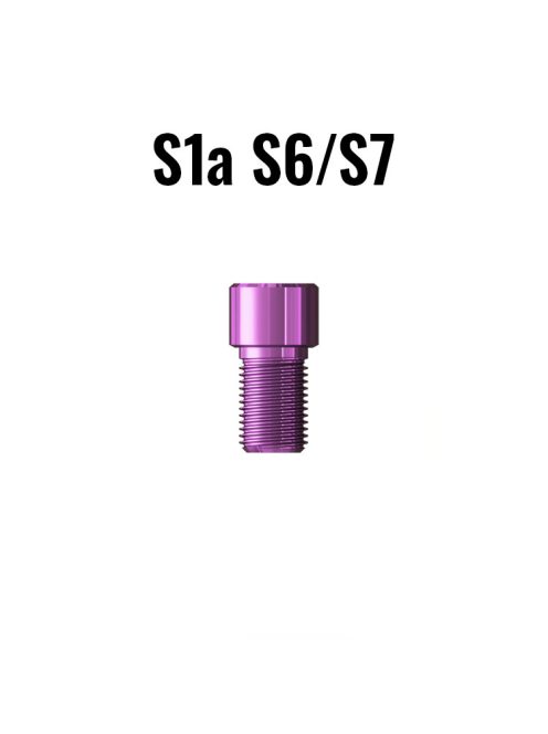 S1a S6/S7 Screw