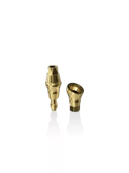 Easy-Fix Abutments