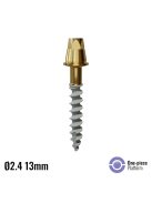 P9S Dental Implant ø2.4 x 13mm